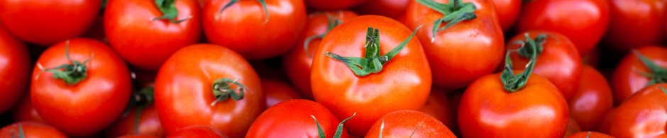 Frische Tomaten in Braunschweig